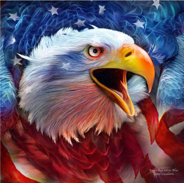 9C7F693B-F20C-4F19-9B2B-E1905396A3D2