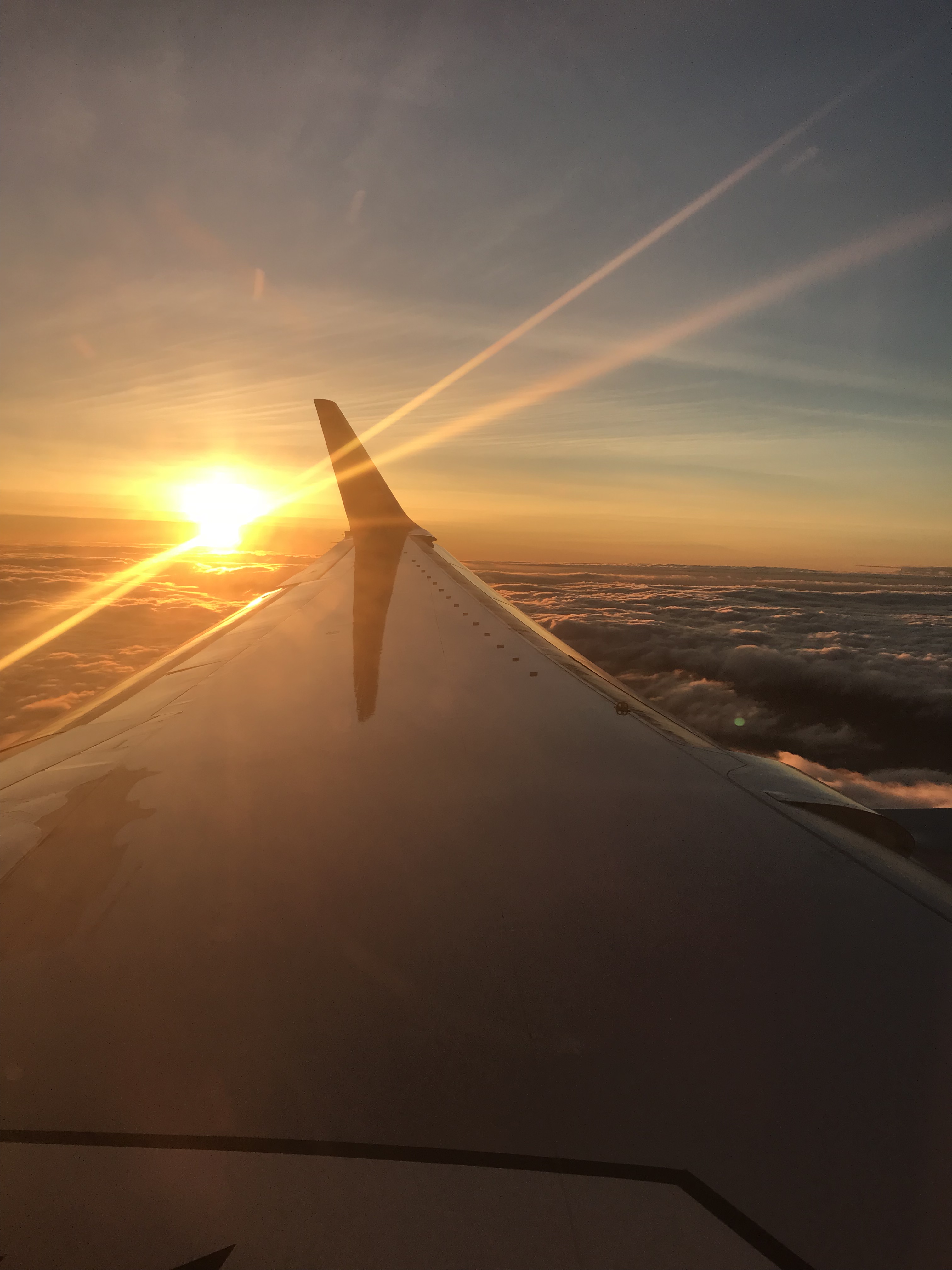 7860b009-a819-45f7-b245-b743b8455ab9